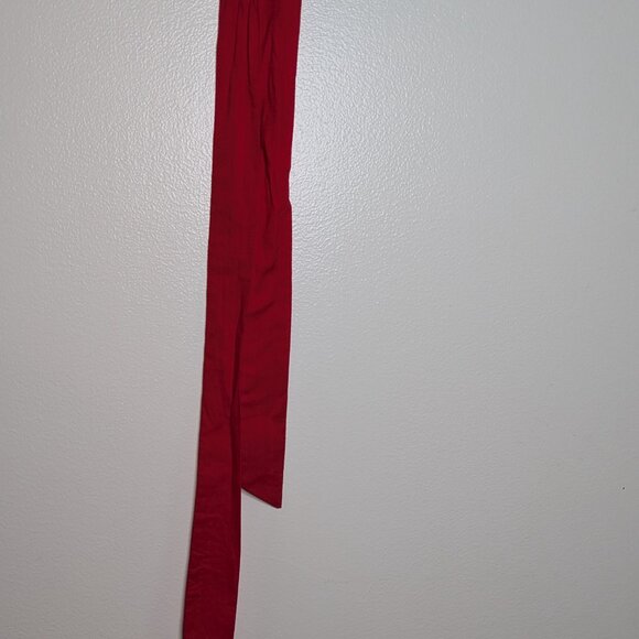 Joanie Red Santo Button-Down Tea Dress - Picture 6 of 12